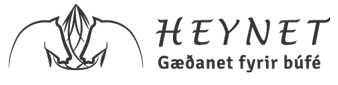 HeyNet Logo