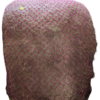 Goliat bleikur
