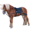 hringtaumsbunadur