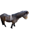 hringtaumsgjörð