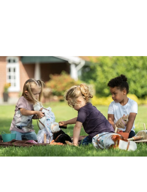 HKM Hobby Horse Brush Set5