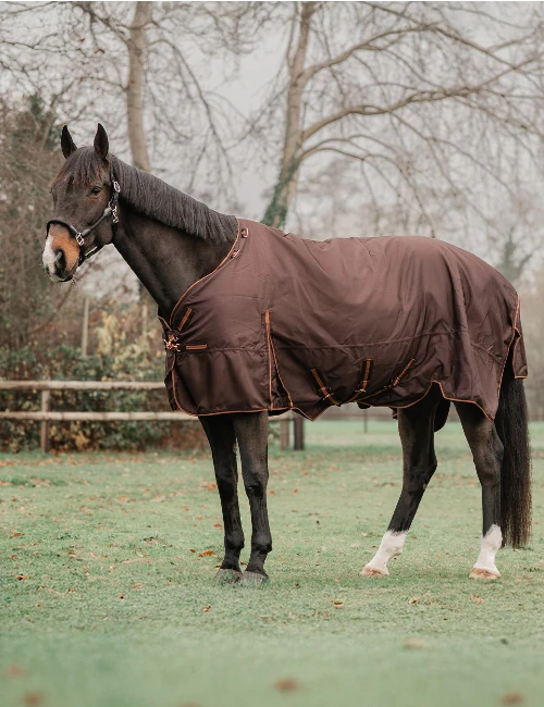 Abreida_Frid_an_hals