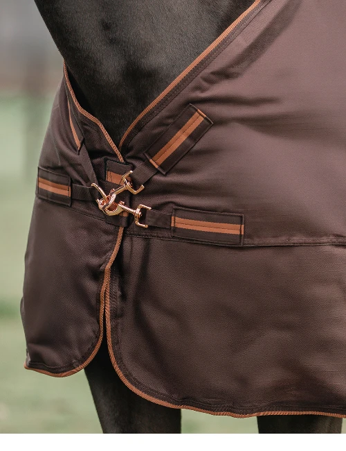 Abreida_Frida_bringa