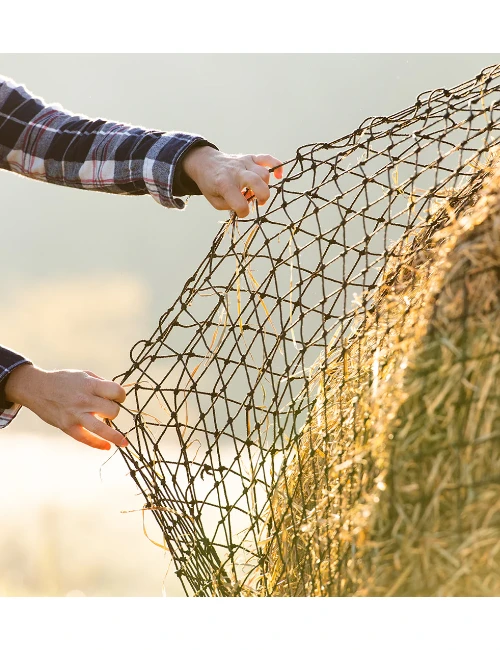 Heyr_Tex Heyrúllunet Tex