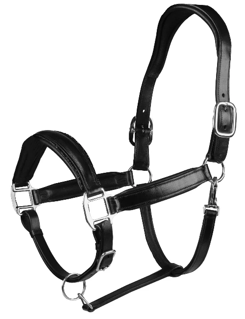 Ledurmull_Brilliance